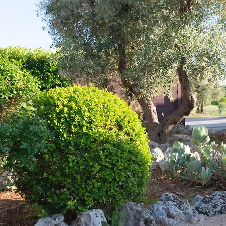 Trullo Cittadino Cisternino
