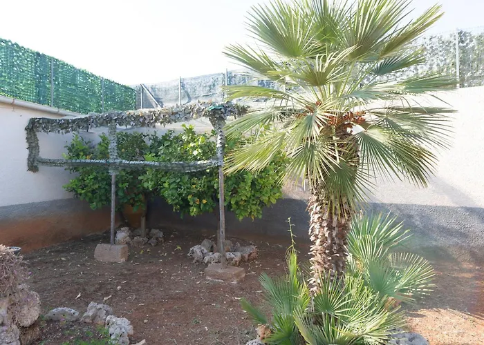 Alojamento de Turismo Selvagem Trullo Cittadino